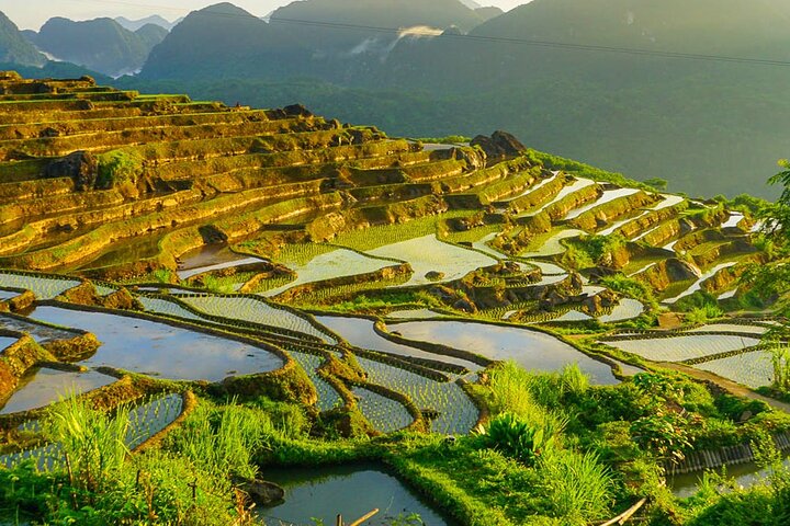 more Terraces