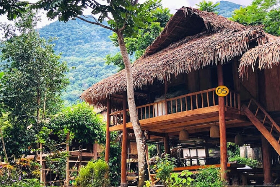 Homestay