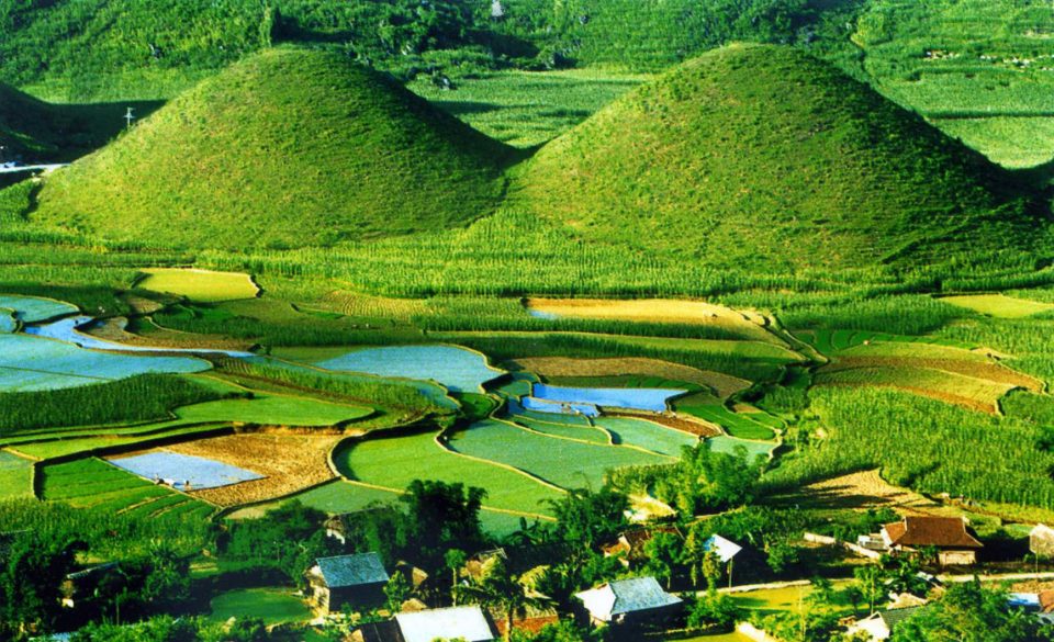 Ha Giang in Golden Rice Season: A 4-Day Journey Through Stone, Clouds, and High Roads